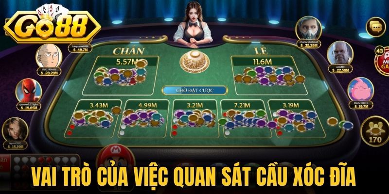 Vai trò của việc quan sát cầu xóc đĩa 